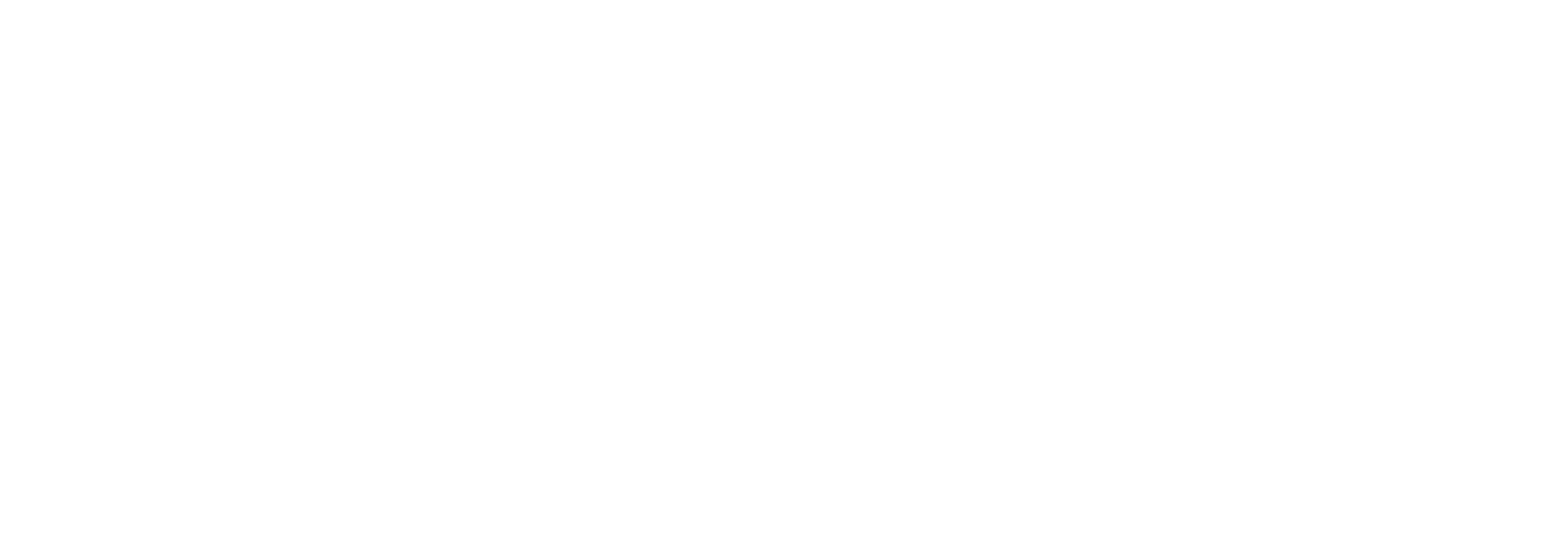 Fizen